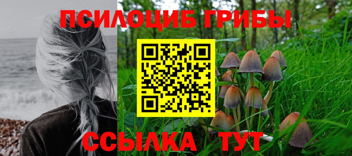 Псилоцибиновые грибы Magic Shrooms  Галлюциногенные грибы мухоморы  Дербент  Вход с VPN 